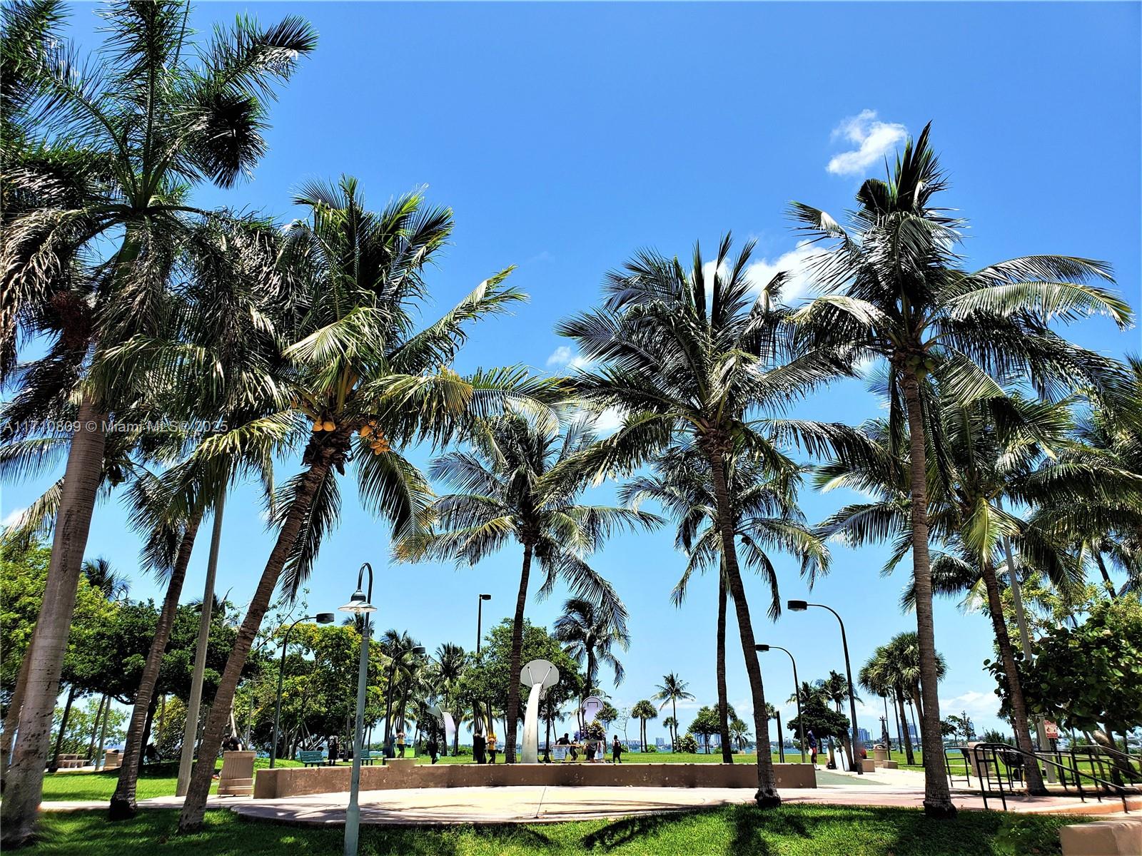 CITE CONDO - Residential Lease