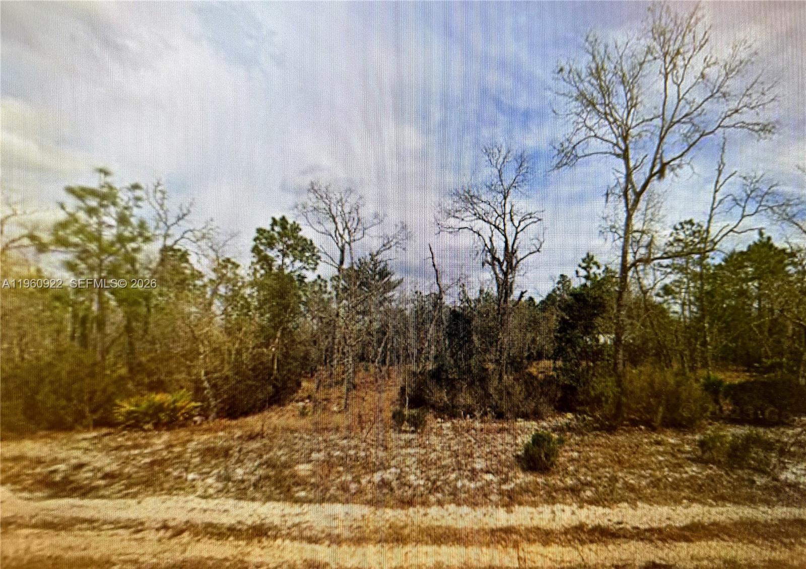 INTERLACHEN LAKES ESTS - Land