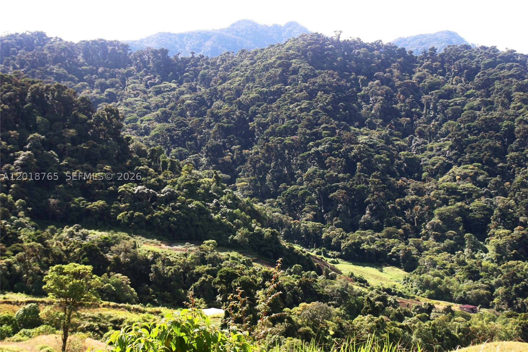 Exceptional 849-acre cloud forest estate located in Cerro Punta, Chiriquí, Panama adjacent to La Amistad International Park (UNESCO World Heritage Site). Multi-revenue development opportunity featuring state-approved spring water bottling concession, eco-luxury hospitality potential, competition-grade Geisha coffee terroir, and carbon sequestration/conservation value. Elevation ranges from 1,966 to 2,368 meters with year-round spring climate (10-18°C). Approximately 25% of the property available for sustainable development while 75% remains protected cloud forest. Features include natural spring water source with measured flow of 50-150 liters/sec, river access, biodiversity value, and exceptional eco-tourism potential. Ideal for hospitality groups, institutional investors, conservation-focused developers, and agricultural operators seeking long-term appreciation and diversified income streams in one of Latin America’s most stable economies.