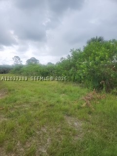 Lehigh Acres - Land