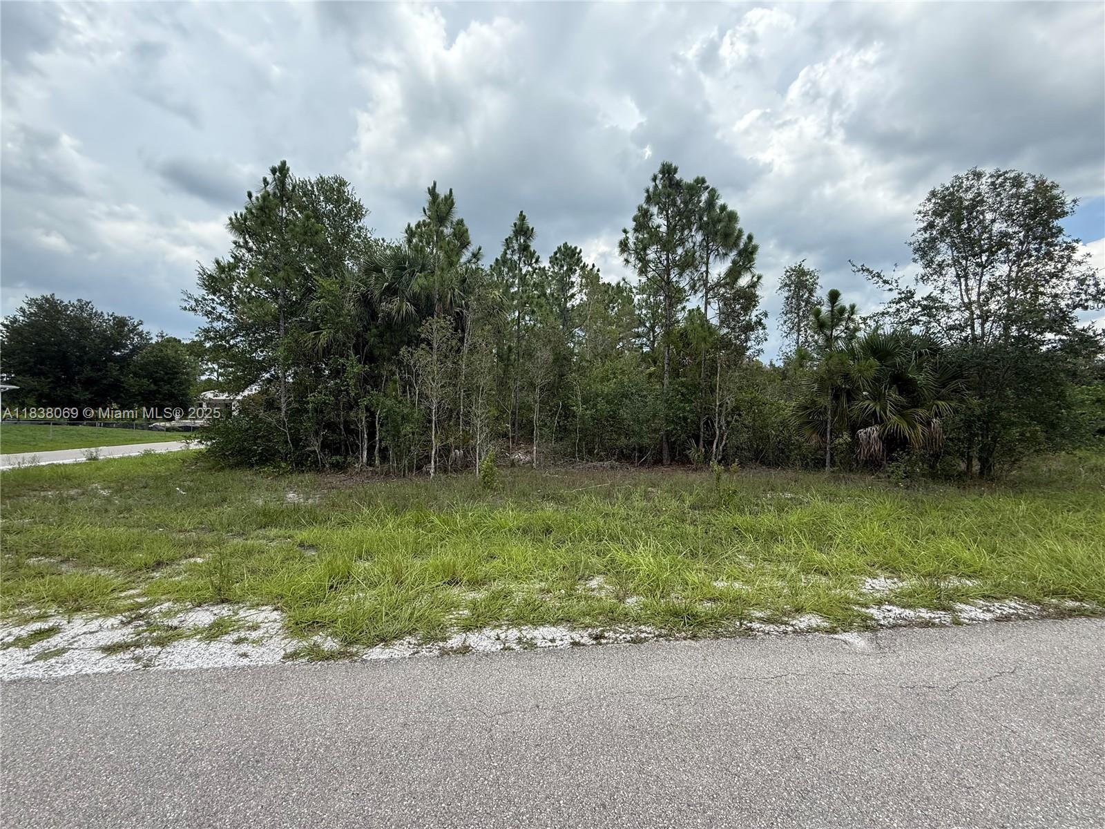 LEHIGH ACRES - Land