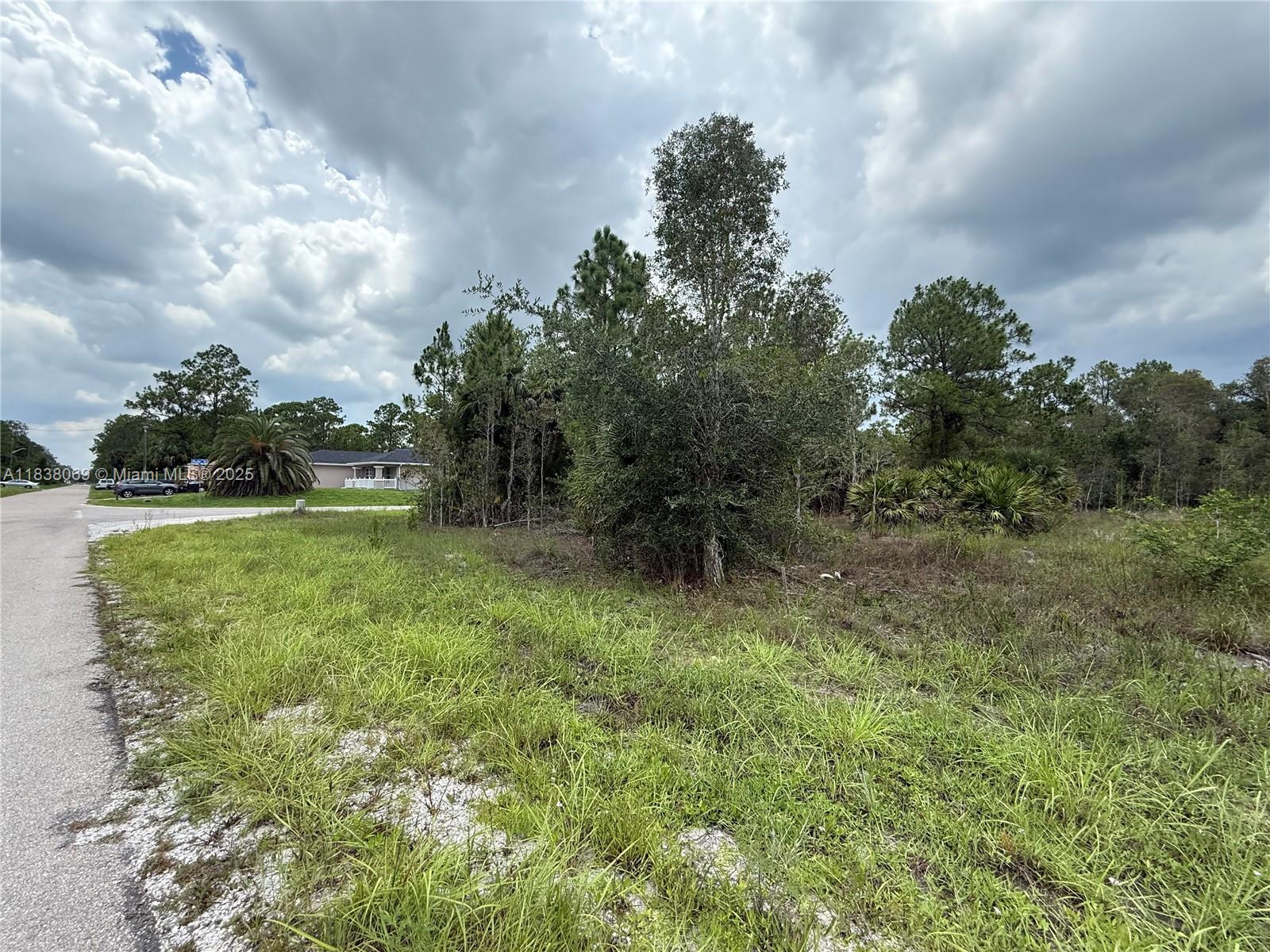 LEHIGH ACRES - Land