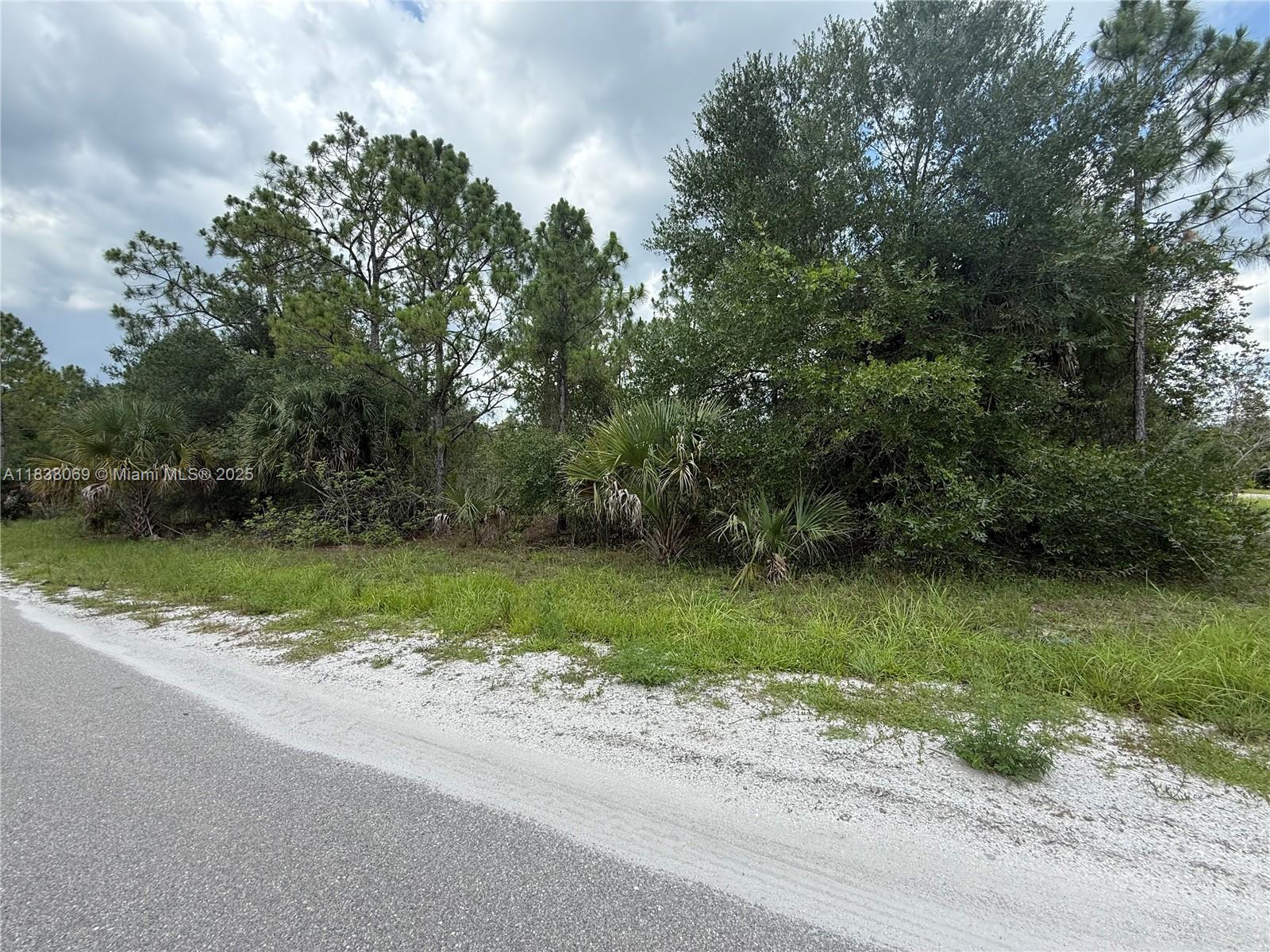 LEHIGH ACRES - Land