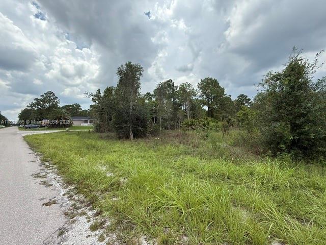 LEHIGH ACRES - Land