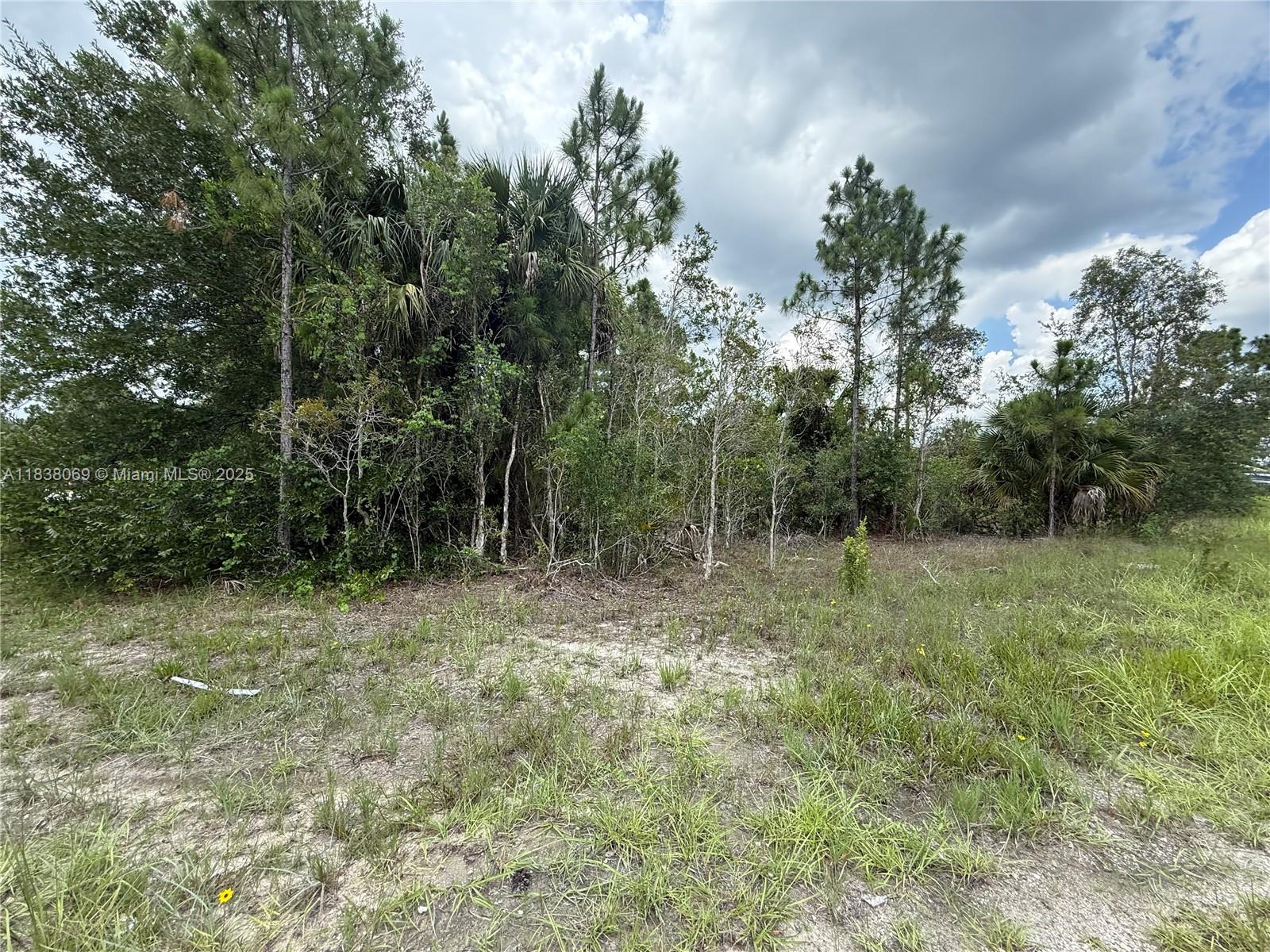 LEHIGH ACRES - Land