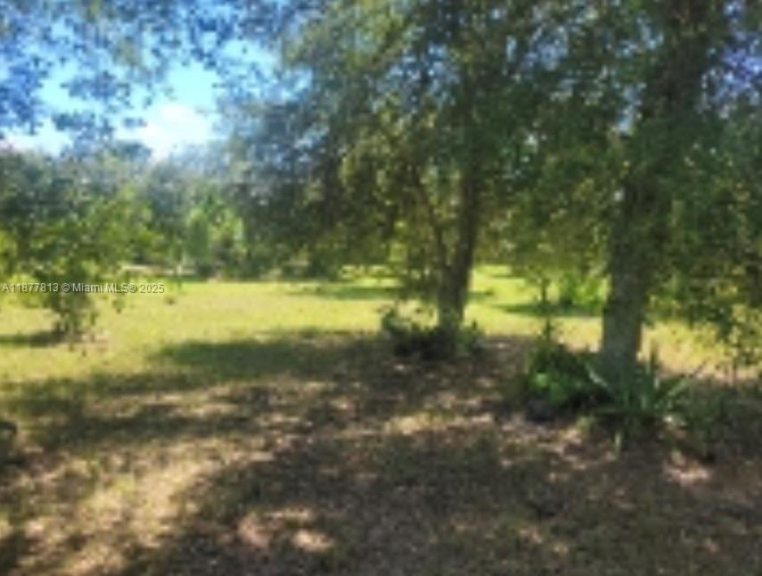 MONTURA RANCHES - Land