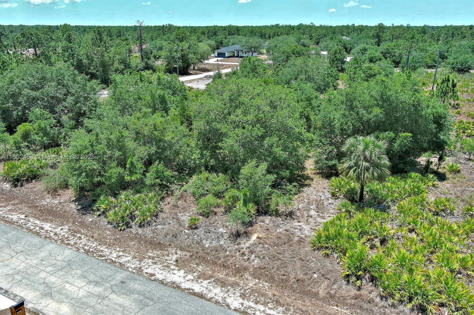 LEHIGH ACRES - Land