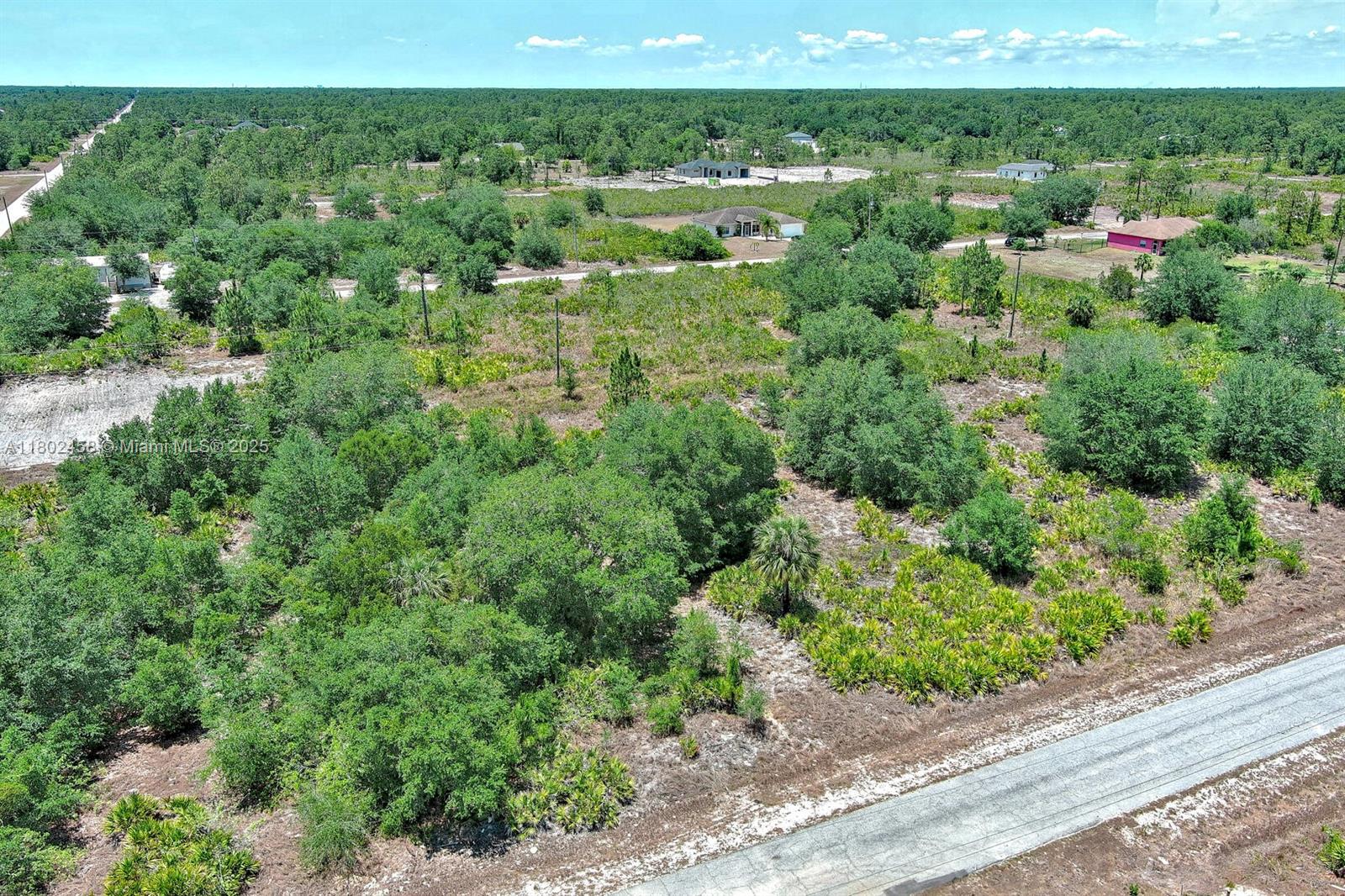 LEHIGH ACRES - Land