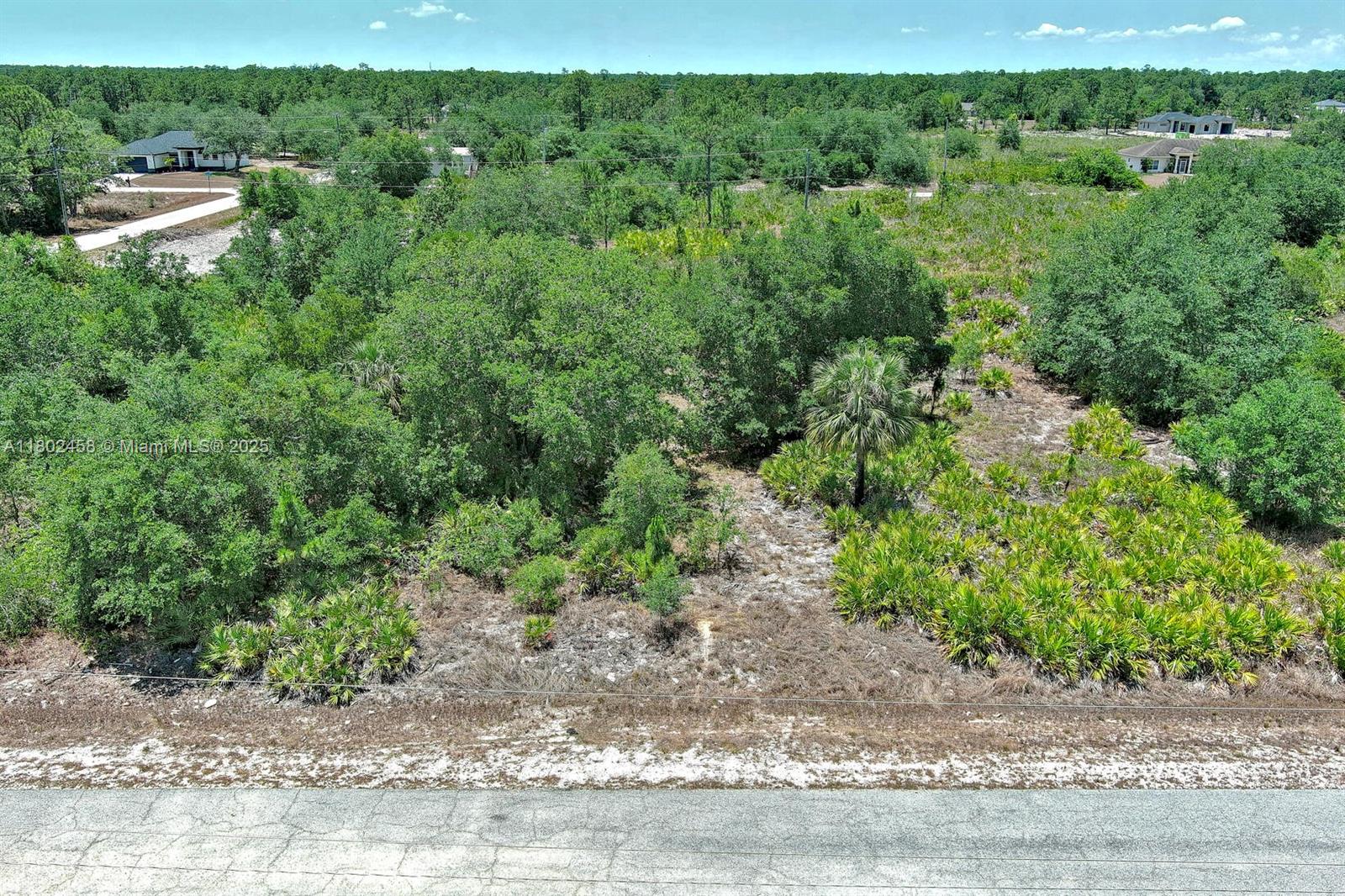 LEHIGH ACRES - Land