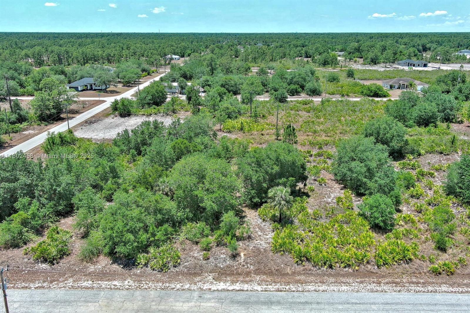 LEHIGH ACRES - Land