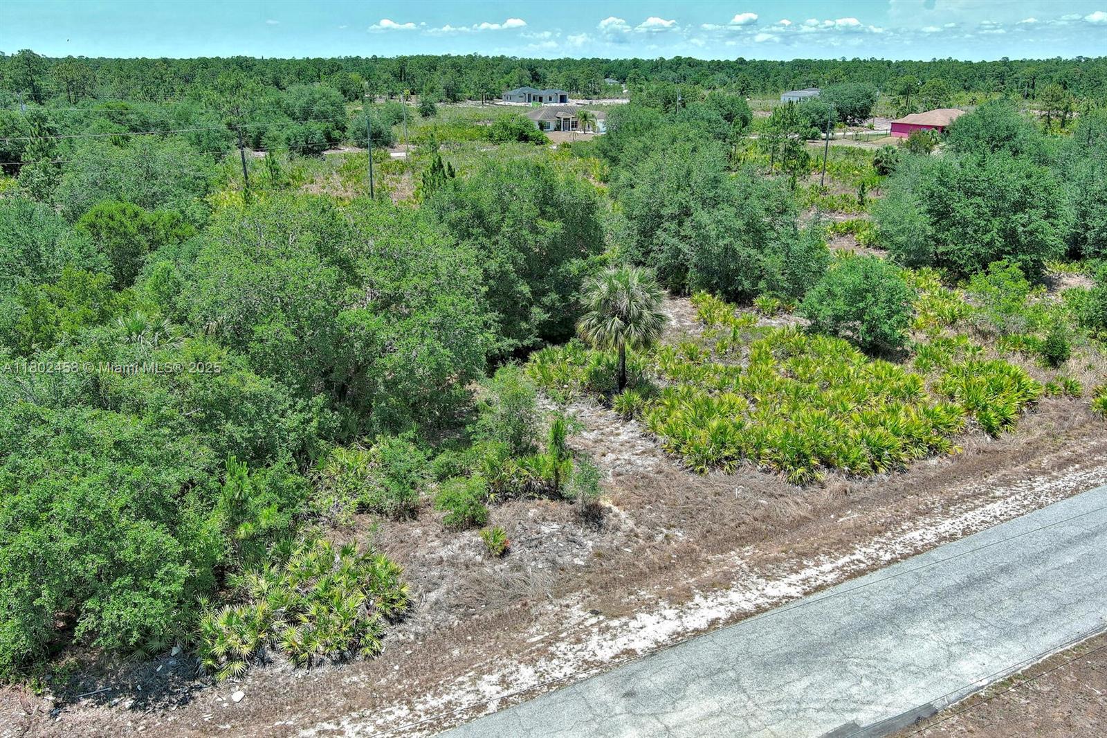 LEHIGH ACRES - Land