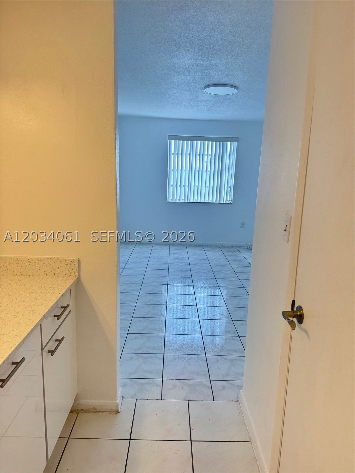 VISTA ALEGRE CONDO - Residential Lease