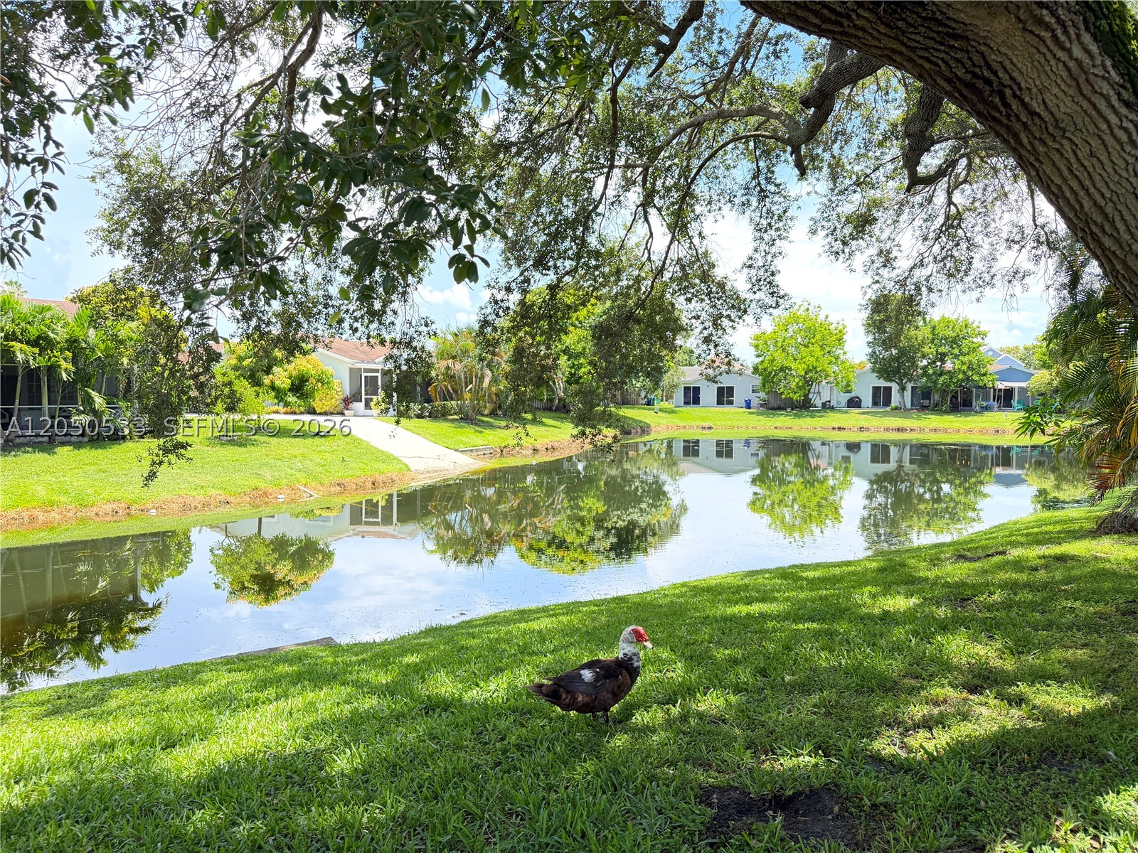 MEADOWS OF MIRAMAR - Residential