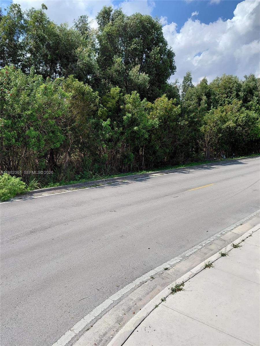 MIAMI EVERGLADE LAND COMP - Land