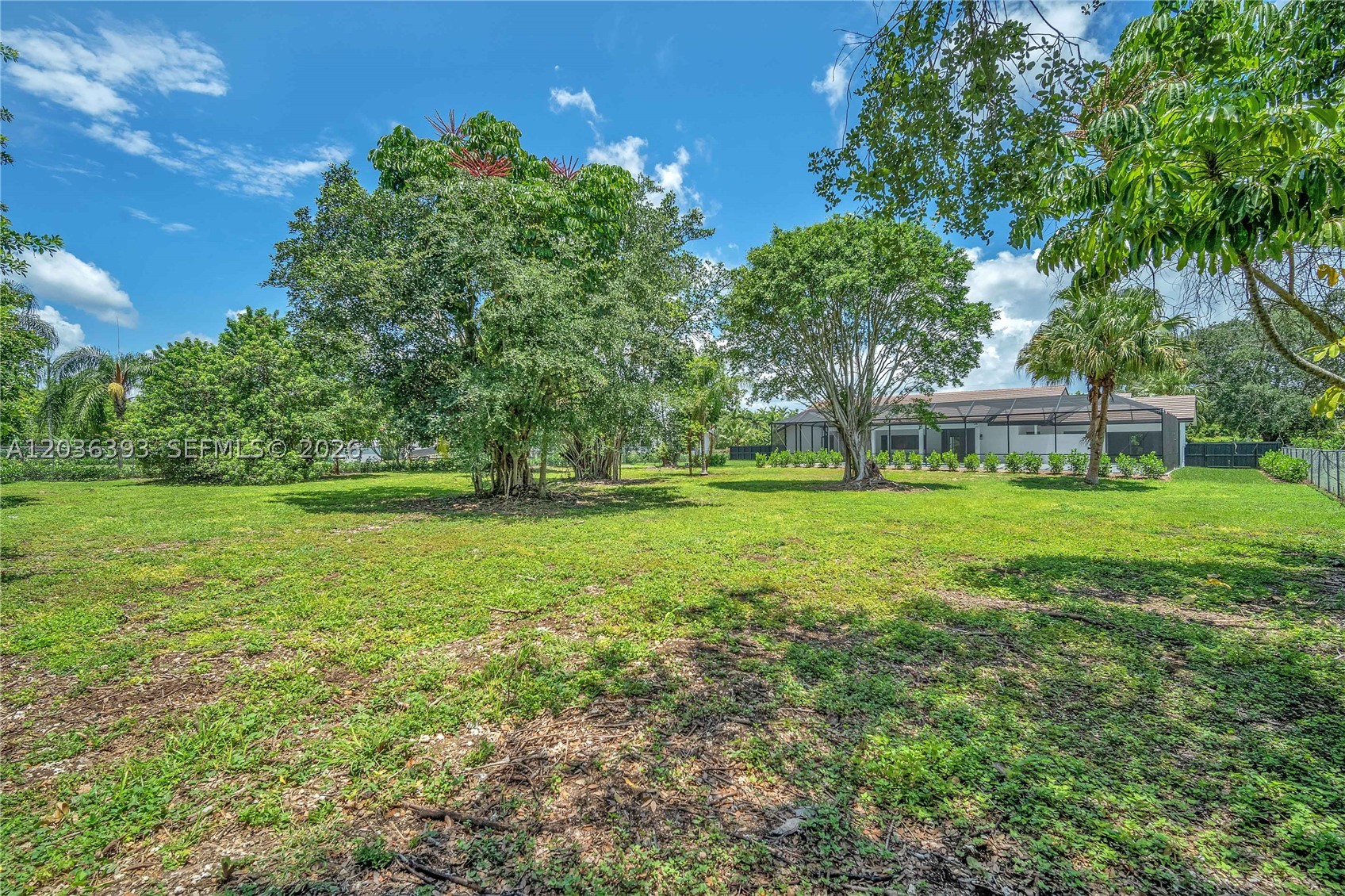 SILVER PALM CITY - Residential