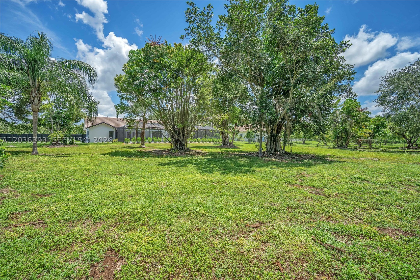 SILVER PALM CITY - Residential