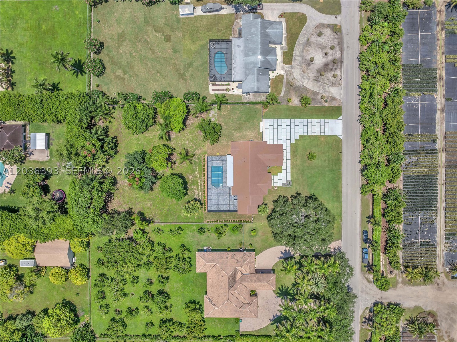 SILVER PALM CITY - Residential