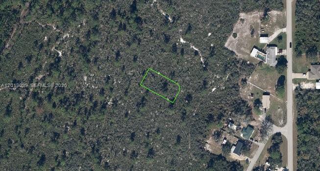 Great opportunity to own a vacant lot in Lake Placid, Florida, a quiet and growing community known for its lakes, natural beauty, and small-town charm. This property is located in a peaceful residential area with convenient access to local schools, shopping, dining, and essential services. Just minutes from nearby lakes, parks, and outdoor recreation, this location is ideal for those who enjoy fishing, boating, and Florida’s relaxed lifestyle. Sebring is a short drive away, offering additional shopping, healthcare, and entertainment options. Publix Super Market and CVS Pharmacy are approximately a 10–12 minute drive from the Doolittle Drive area, ALDI and Winn-Dixie also located along US-27 N for additional grocery shopping options. Advent Health Lake Placid, located at 1210 US-27 N, is approximately 6 miles away (about 12-minute drive), providing convenient access to medical and emergency services. Schools within the Highlands County School District include Lake Placid Elementary School (approx. 5 miles), Lake Placid Middle School (approx. 6 miles), and Lake Placid High School (approx. 6 miles). Several major banks are located along US-27 N in Lake Placid, including Chase Bank, Wells Fargo Bank, Bank of America, and MIDFLORIDA Credit Union. For visitors nearby lodging options include Holiday Inn Express & Suites Lake Placid, Ramada by Wyndham Lake Placid, and Lake Grassy Inn & Suites. Buyer is responsible for verifying all zoning, utilities, and buildability with the county.