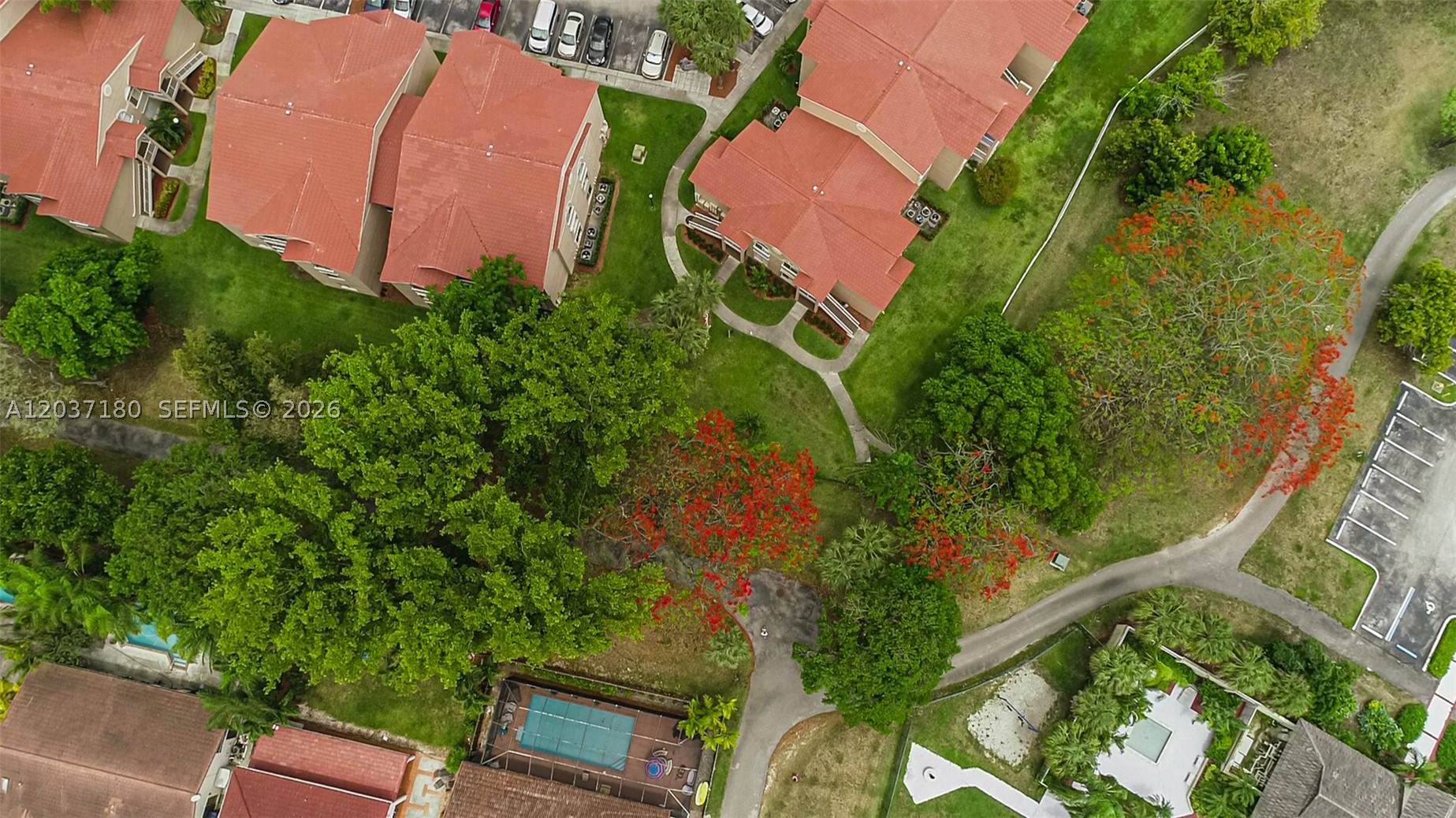 Royal Palm - Residential