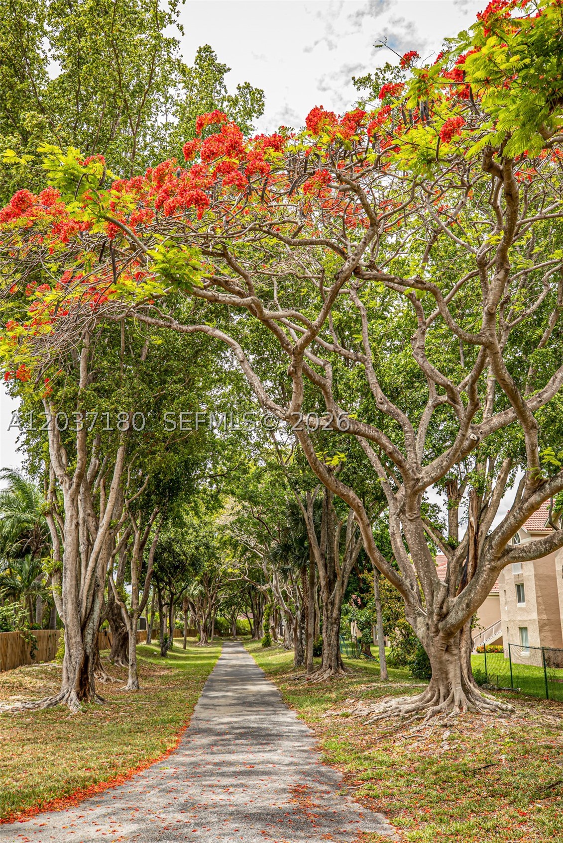 Royal Palm - Residential