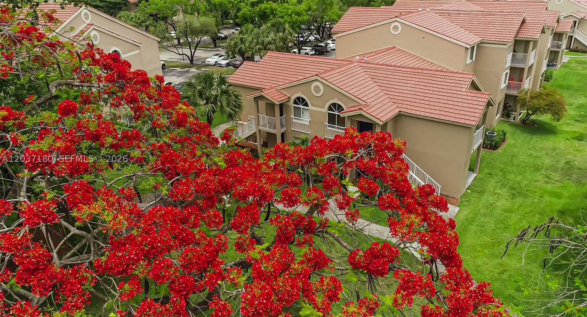 Royal Palm - Residential