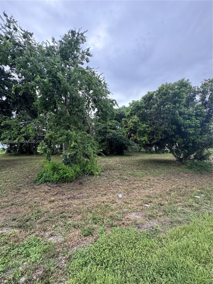 MAYACA HOMESITES - Land