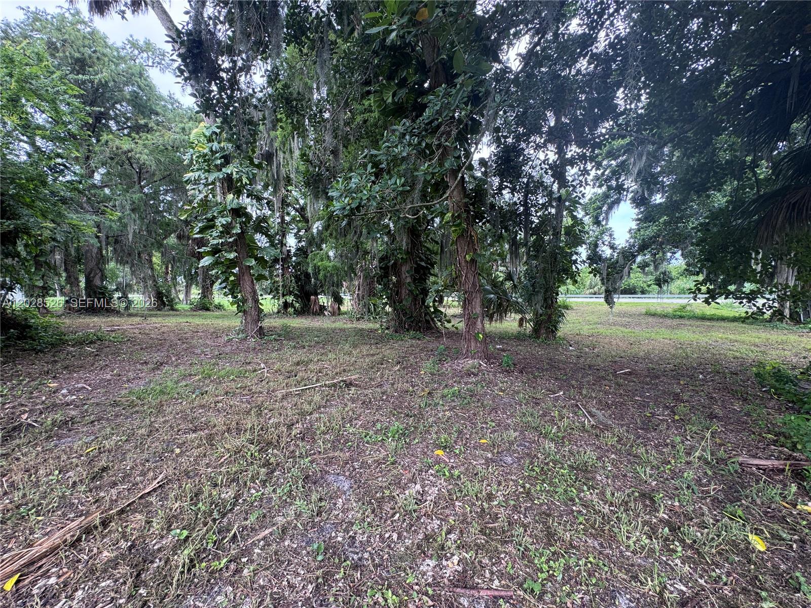 MAYACA HOMESITES - Land