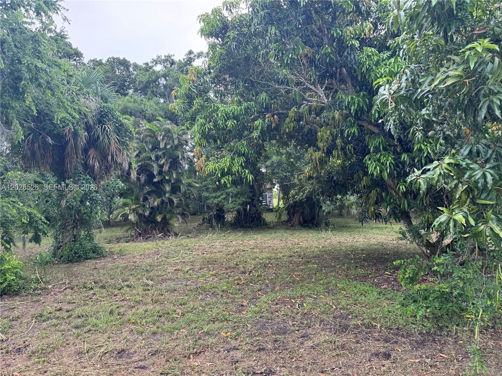 MAYACA HOMESITES - Land