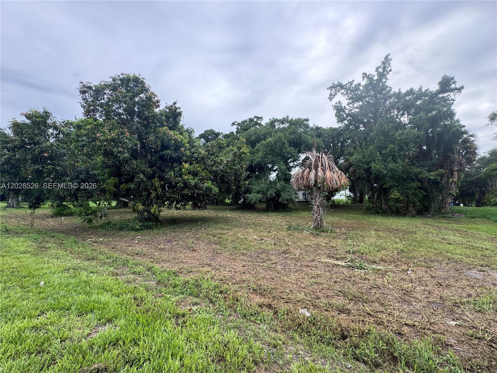 MAYACA HOMESITES - Land