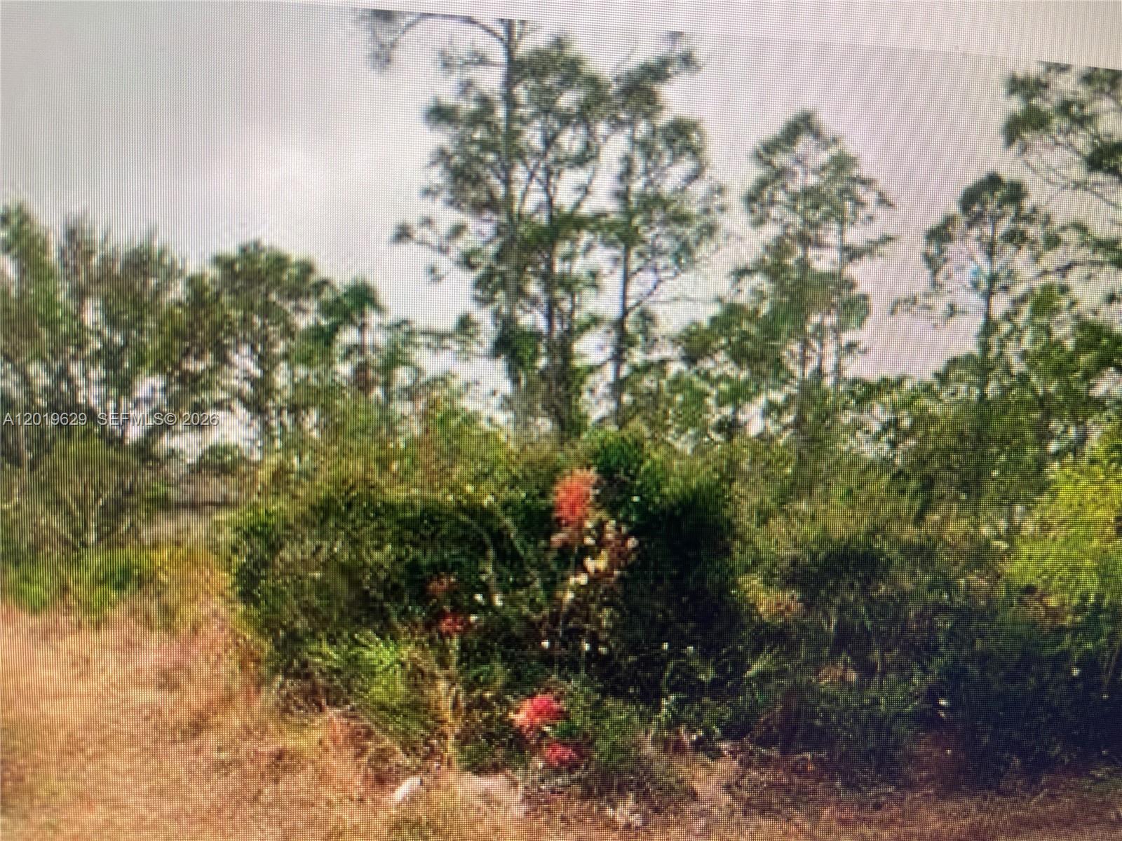 TROPICAL GULF ACRES - Land
