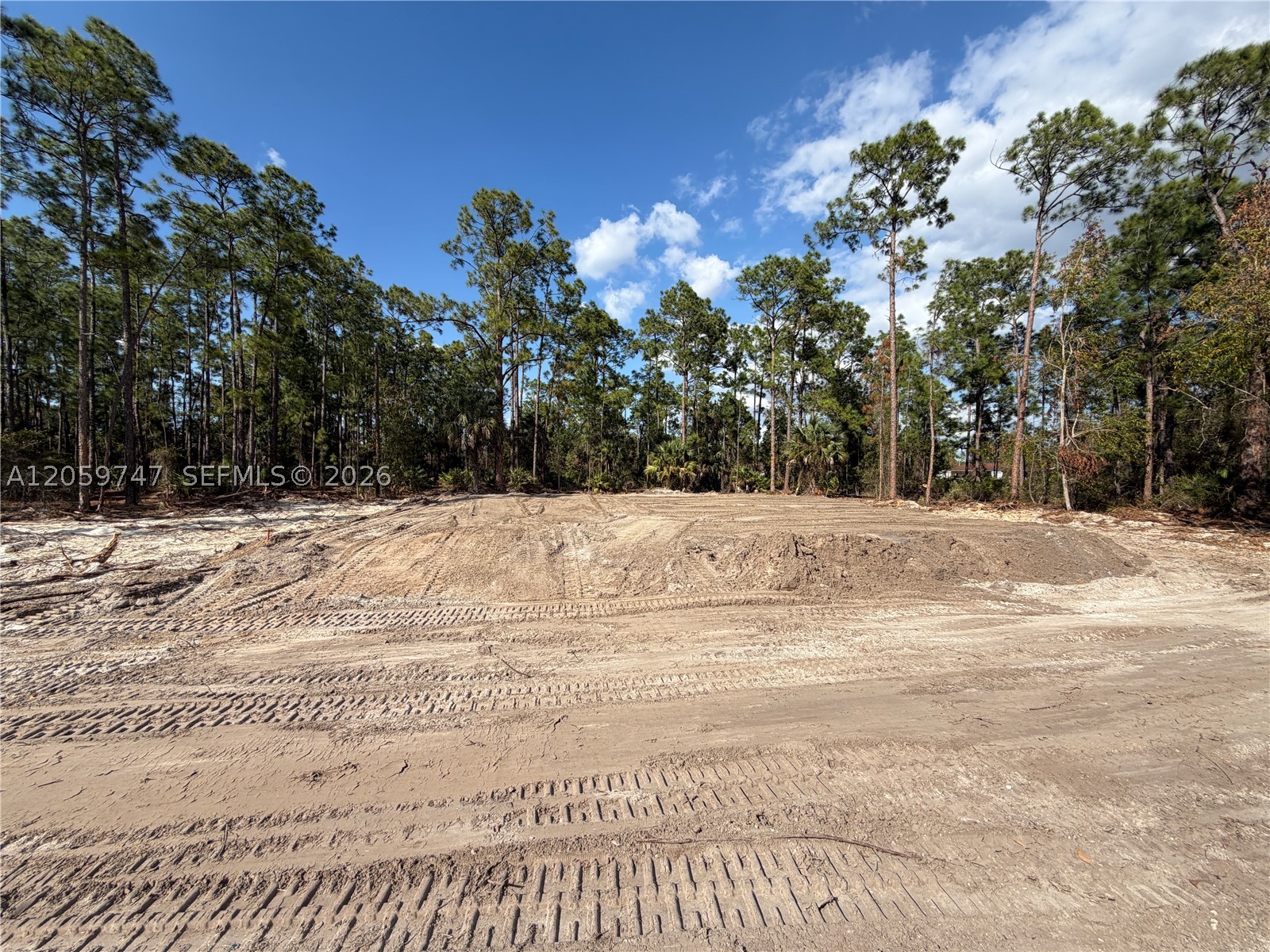 "GREAT OPPORTUNITY in Lehigh Acres! Clean 1/4-acre residential lot with the building pad and fill dirt already in place. The sale includes a survey, environmental reports confirming the property is free of protected species and wetlands, a 2,700-square-foot architectural home plan, engineering plans, septic and site plans, and all available documentation needed for permit submission. Everything is included in the asking price and ready to be submitted for permitting. Save time and money—this is a GREAT DEAL!”