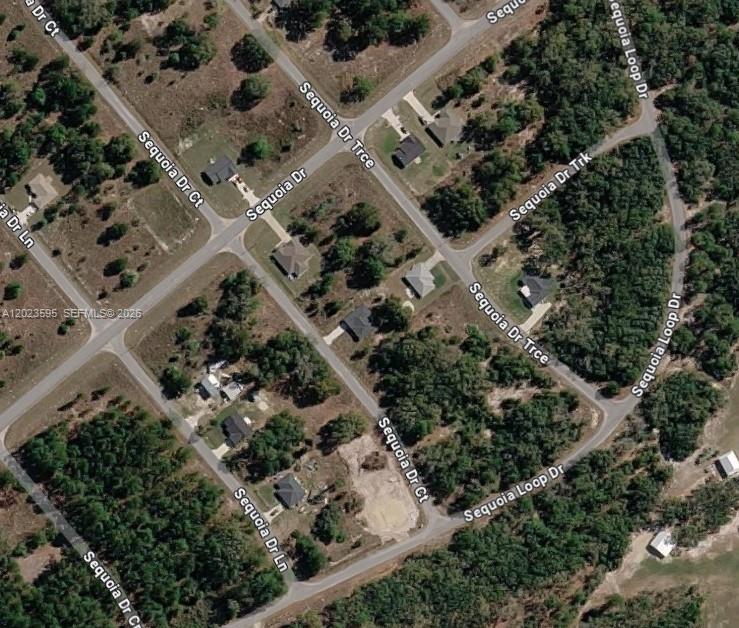 SILVER SPRINGS SHORES UNIT - Land