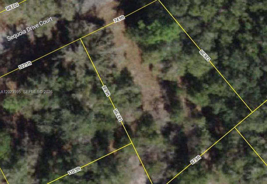 SILVER SPRINGS SHORES MARION COUNTY, OCKLAWAHA, FL 32179 Large lot 12,197 SQ FT .28 acre. Beautiful lot with two new homes across the street and newer home on the same side.Loction close to Lake Weir offers an array of outdoor, and recreational activities across its nearly 5,700 acres, from boating and fishing to swimming and lakeside dining. Lot is located on Sequoia Drive Ct this is one lot in from Sequioa Loop Dr across from the two new homes.