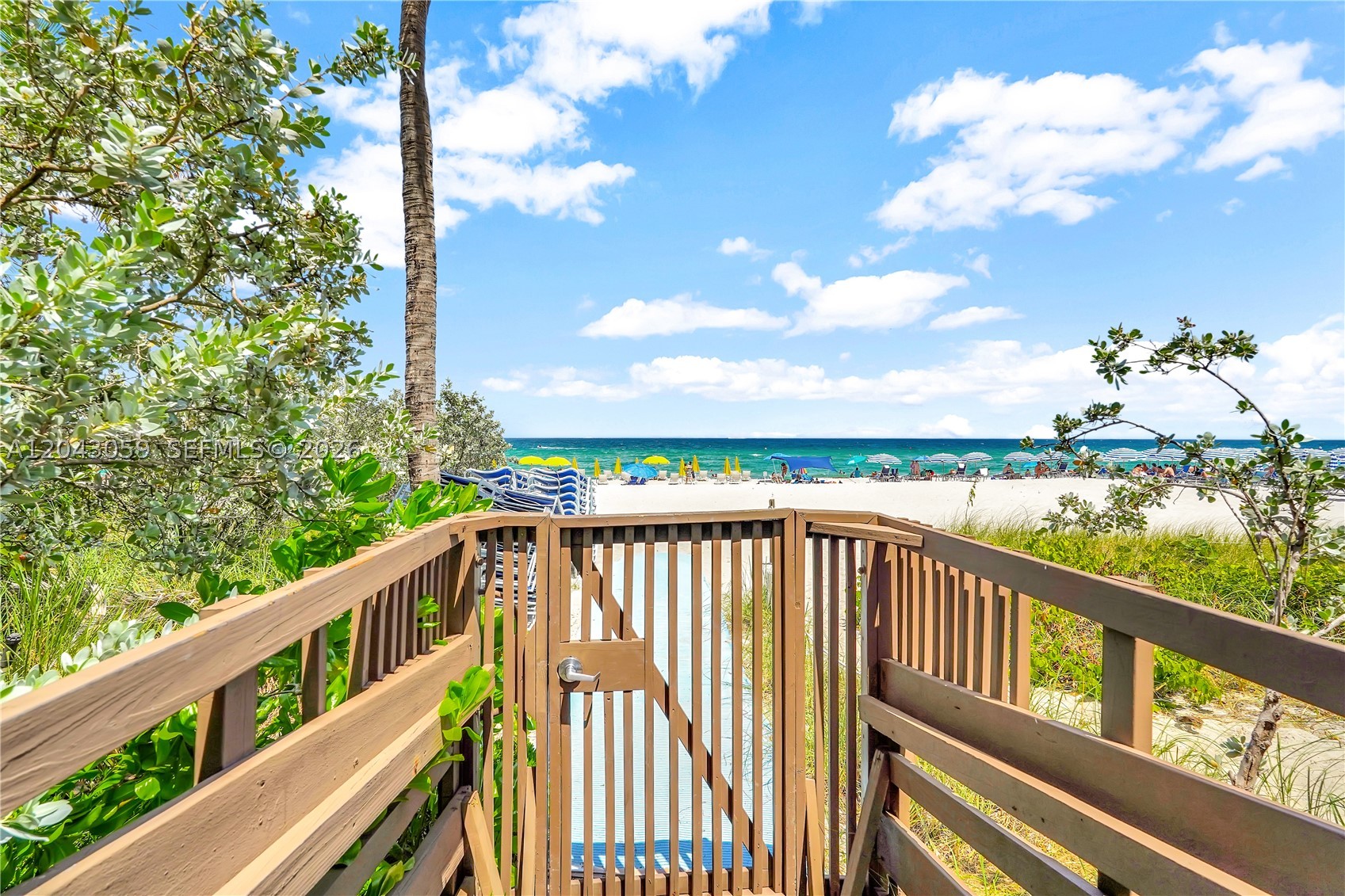APOGEE BEACH CONDOMINIUM - Residential