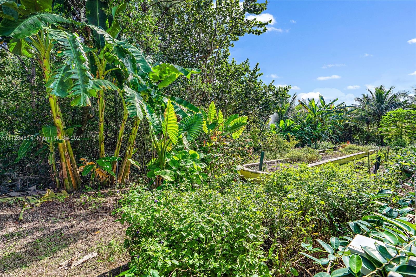 JUPITER ISLAND - Residential