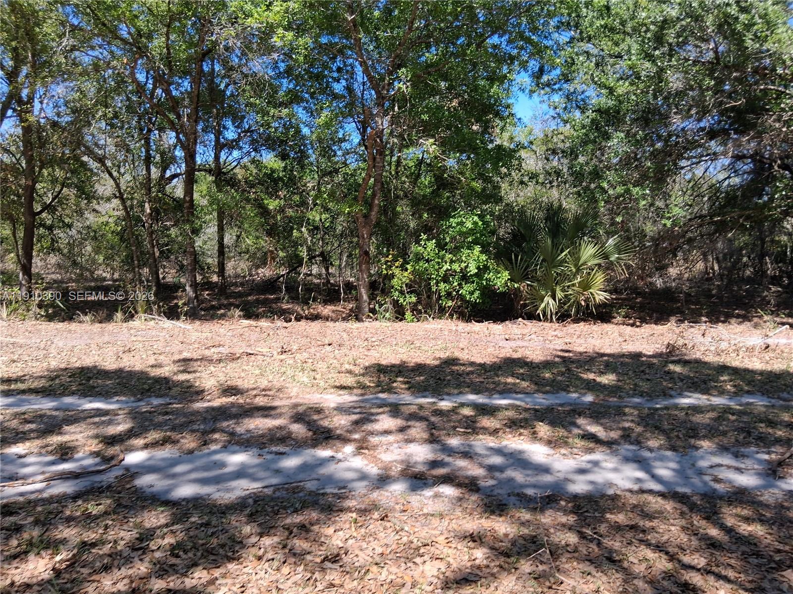 Buyers, look no further. This beautiful acreage is ready for your new home. It has 48,510 SQ FT of unused land ready for your keen vision. Do your due diligence to find out if it can be subdivided. Take your enthusiasm to the next level and buy like a pro. This is a developing neighborhood. Very quiet and close to shopping, house of worship
and civic amenities. W. Yepremian Rd  can be access from W Shula. Let's make a deal. Buy and build or buy and hold.