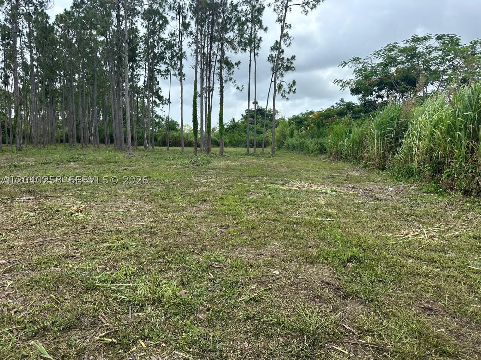Excellent Opportunity to Build a Dream Estate or Obtain Authorization to Build, Paved Land of 42,471 Square Feet, You Can Build a Single-Family Home. The price includes the 3,800 square foot house plans Use in primary area 0081 Don't miss the opportunity to develop your own project. for more information call listing agent.