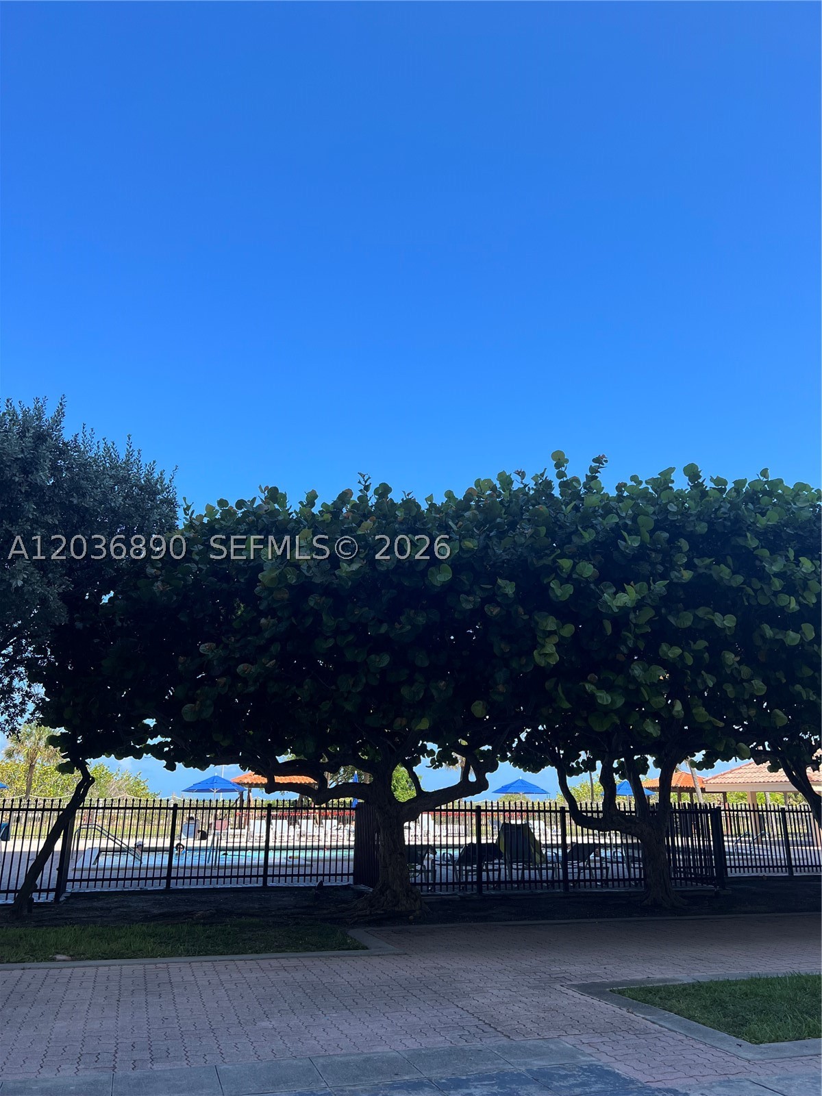 CLUB ATLANTIS CONDO - Residential Lease