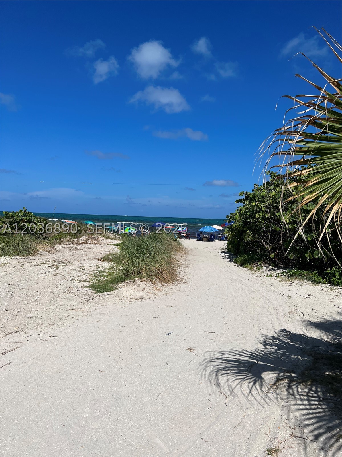CLUB ATLANTIS CONDO - Residential Lease