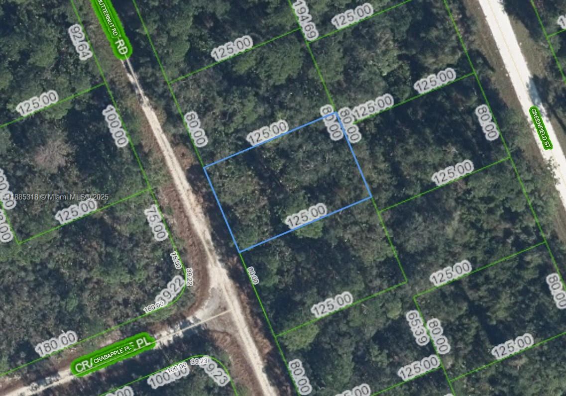 Well located lot, ready to host your dream house. Only for residential purposes. Located near of several lakes around, like Placid Lake. Dont miss the opportunity to invest in a piece of land.