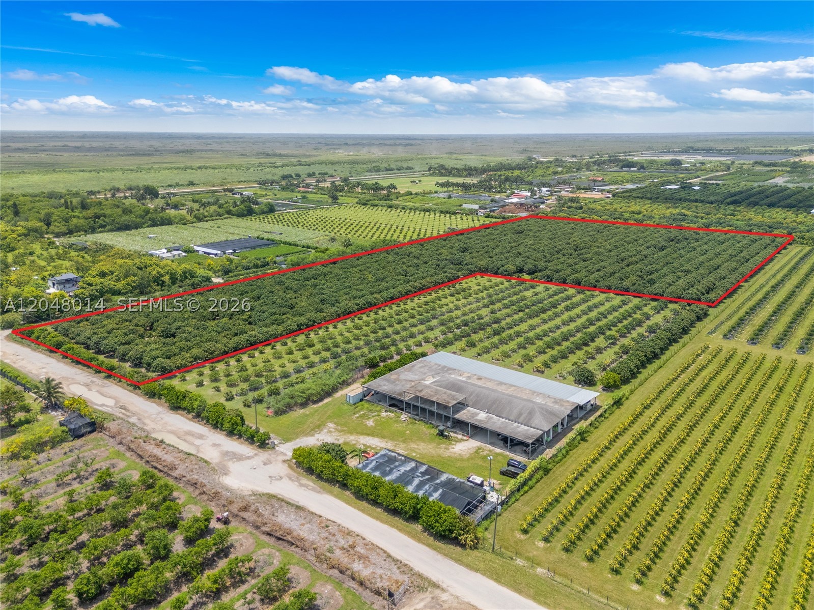 15-Acre Mature Longan Grove In The Heart of Homestead's Agricultural Community. A rare opportunity to own a piece of South Florida's most storied agricultural landscape. Nestled in the heart of Homestead's thriving farming community, this 15-acre property features a mature, producing longan grove on fully irrigated land — ready to generate income from day one. What truly sets this property apart is the inclusion of three buildable lots, offering exceptional flexibility for investors, growers, and developers alike. Whether you're looking to build custom residences, expand an agricultural operation, or secure a long-term land investment in one of Miami-Dade's most sought-after farming corridors, this property delivers on every front making this an ideal canvas for an event venue, eco-tourism destination, or future residential development. Additional 7.45 acres BQ longan grove next-door and 20 acre lychee grove down the street are also for sale.  Seller financing is available.