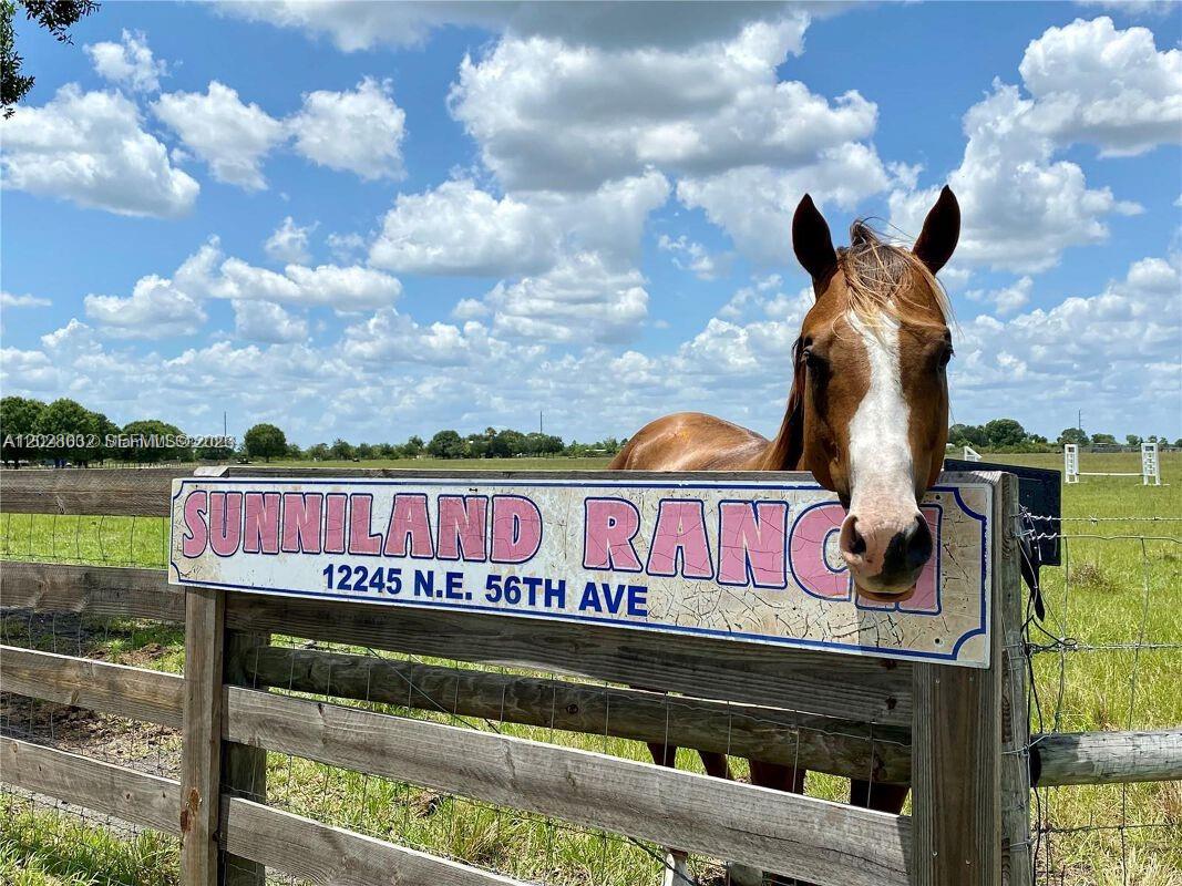 Sunniland Ranch Airport – Okeechobee, Florida
Rarely available situated on 62.25 Acres private aviation ranch featuring its own approximately 1-mile private airstrip in the heart of Okeechobee. This unique property offers an exceptional opportunity for aviation enthusiasts, ranch owners, equestrians, and investors seeking a one-of-a-kind estate.
The property includes a substantial 75' x 75' commercial aircraft hangar, complete with aviation fueling infrastructure including a 10,000-gallon AvGas tank, 10,000-gallon 100LL fuel storage, and a 400-gallon diesel tank with disposal system.
The ranch residence features 3 bedrooms and 2 bathrooms, providing comfortable accommodations for owners, guests, or caretakers. Equestrian improvements include a horse stable, with ample room for riding, grazing, and expansion.
two parcels are being sold together folio # 
1-07-36-36-0A00-00001-B000 and 1-07-36-36-0A00-00001-E000
Listing Agent believes all information and measurements to be accurate; however, buyers and their agents are responsible for independently verifying all information, measurements, dimensions, zoning, permits, and any other facts deemed important to the purchase decision.