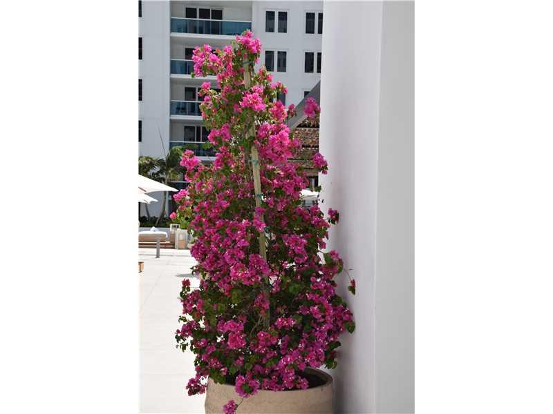 RONEY PALACE CONDO - Residential Lease