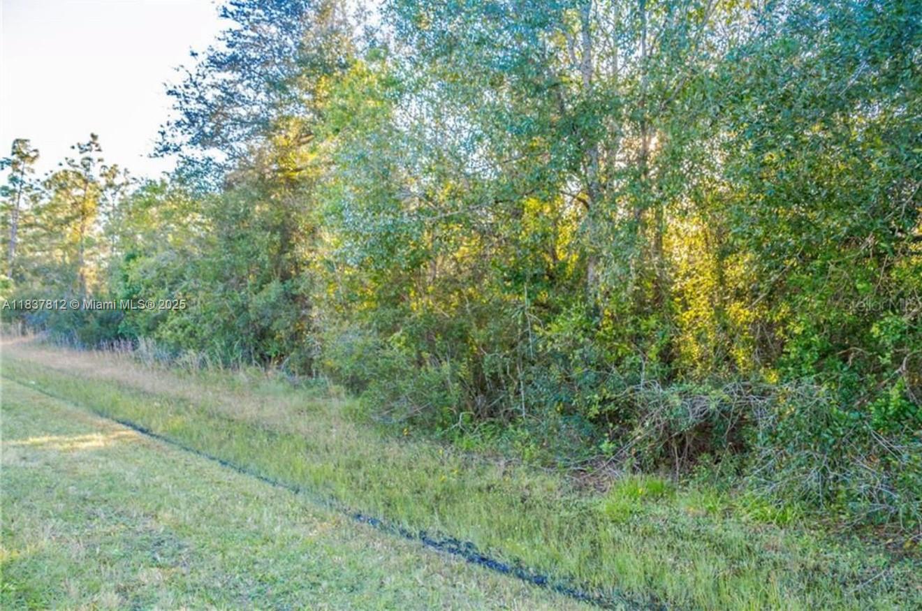 CAPE ORLANDO ESTATES - Land