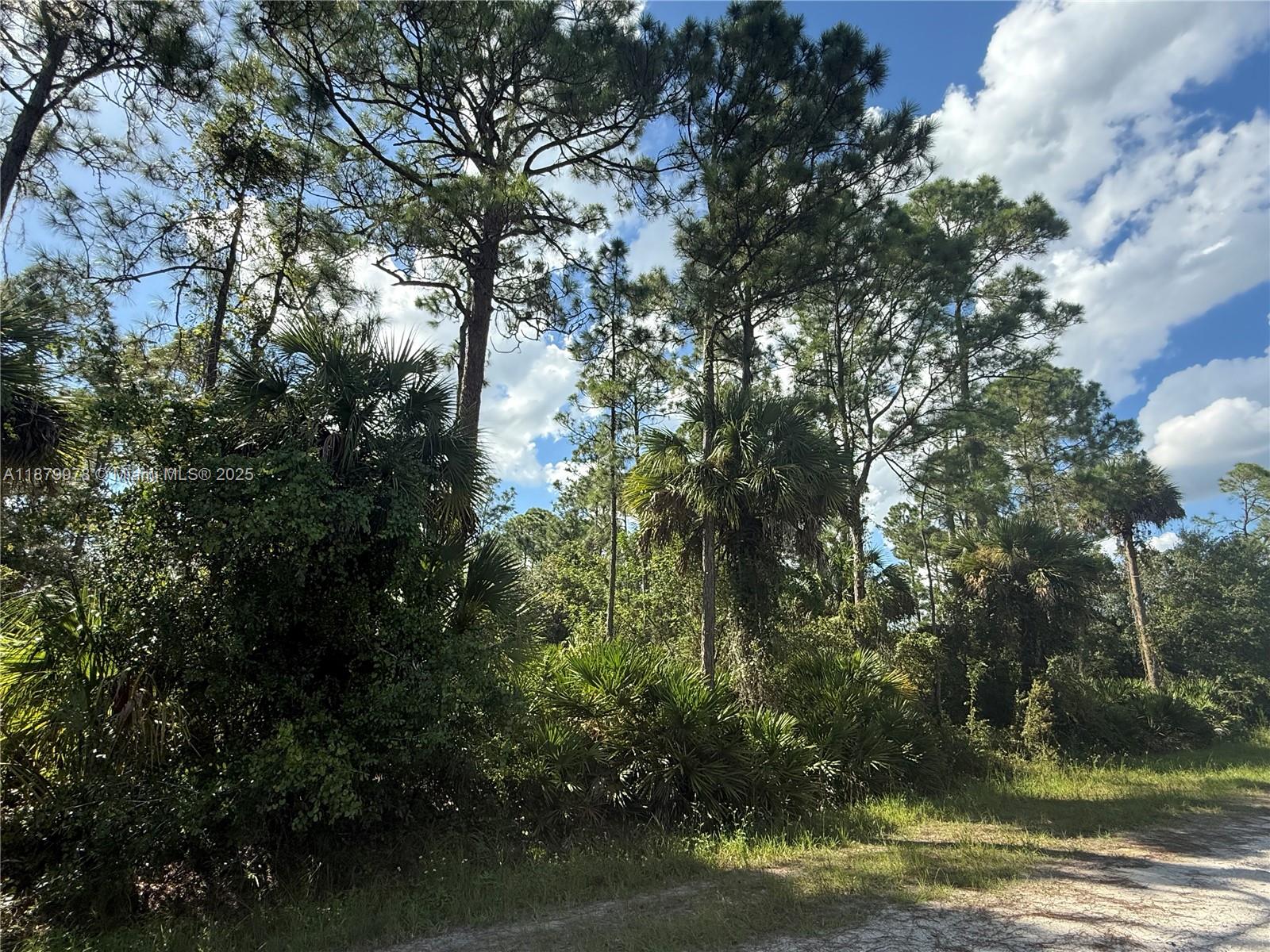 MONTURA RANCH ESTATES - Land