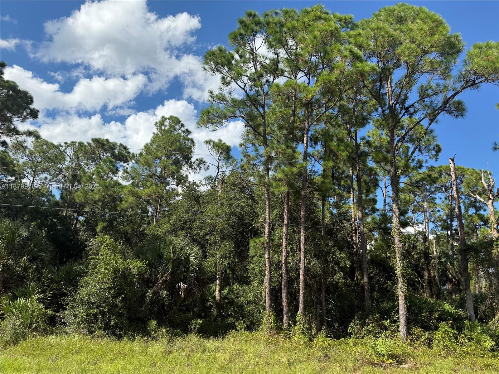 MONTURA RANCH ESTATES - Land