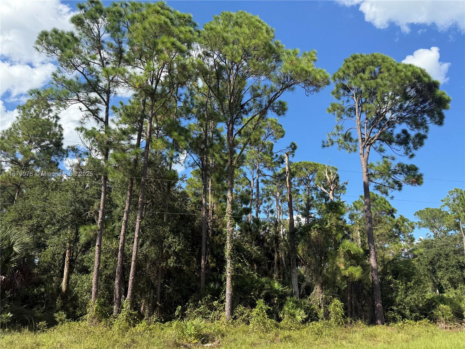 MONTURA RANCH ESTATES - Land