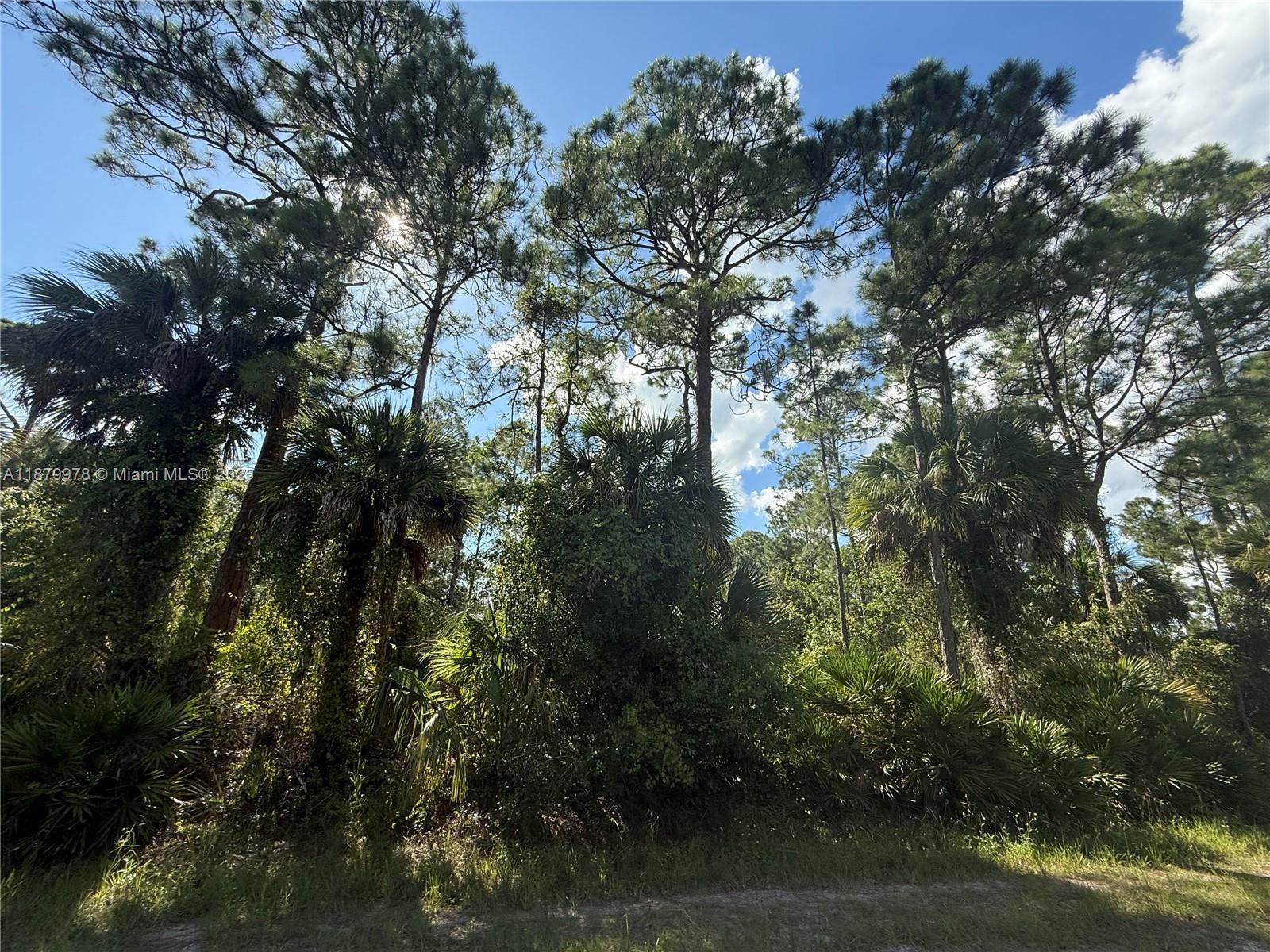 MONTURA RANCH ESTATES - Land