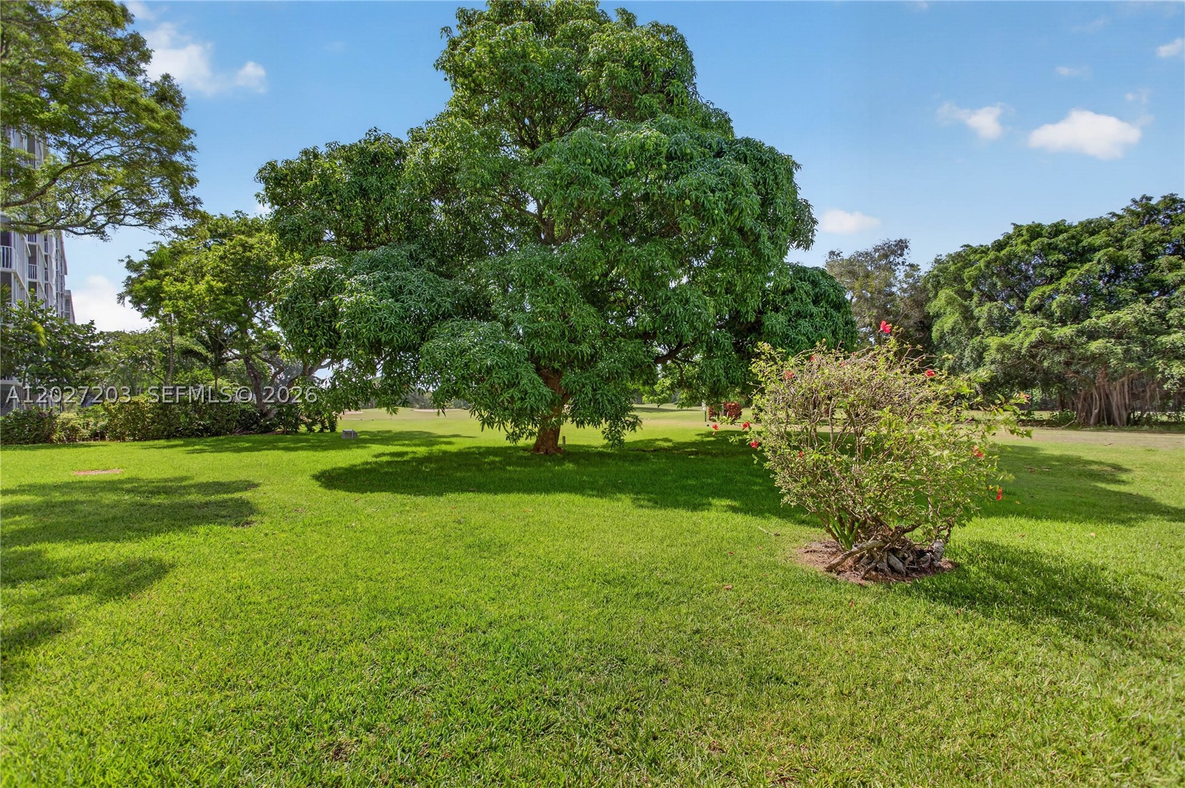 NO 10 PALM-AIRE COUNTRY C - Residential