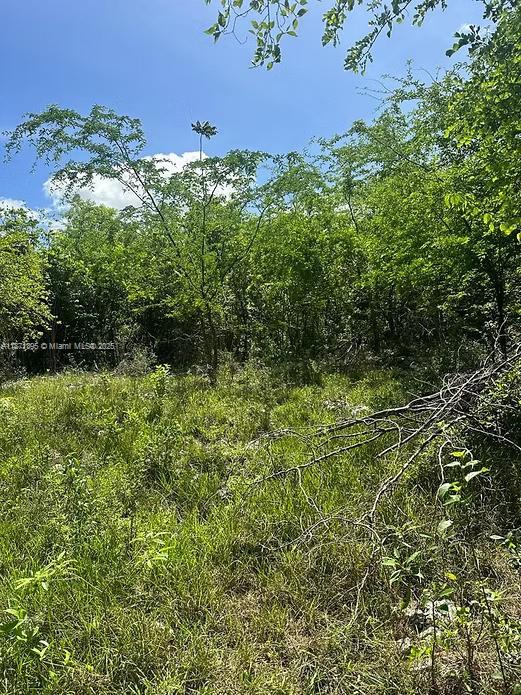 RIO NEUVO, ST MARY JAMAICA - Land